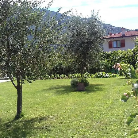 Apartament Viola