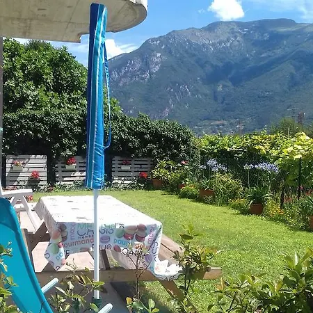 Viola Arco